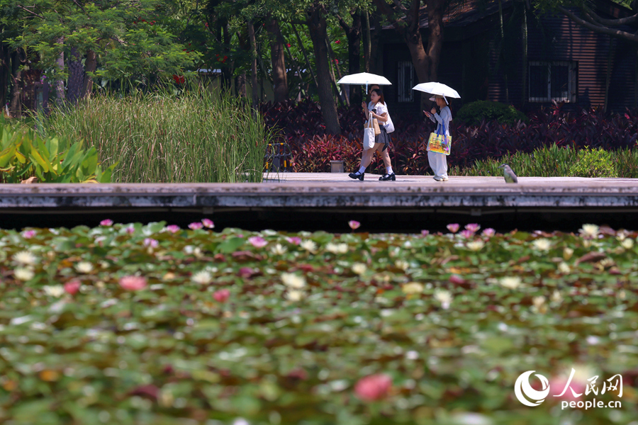 市民游客漫步于蓮池廊道。人民網(wǎng)記者 陳博攝
