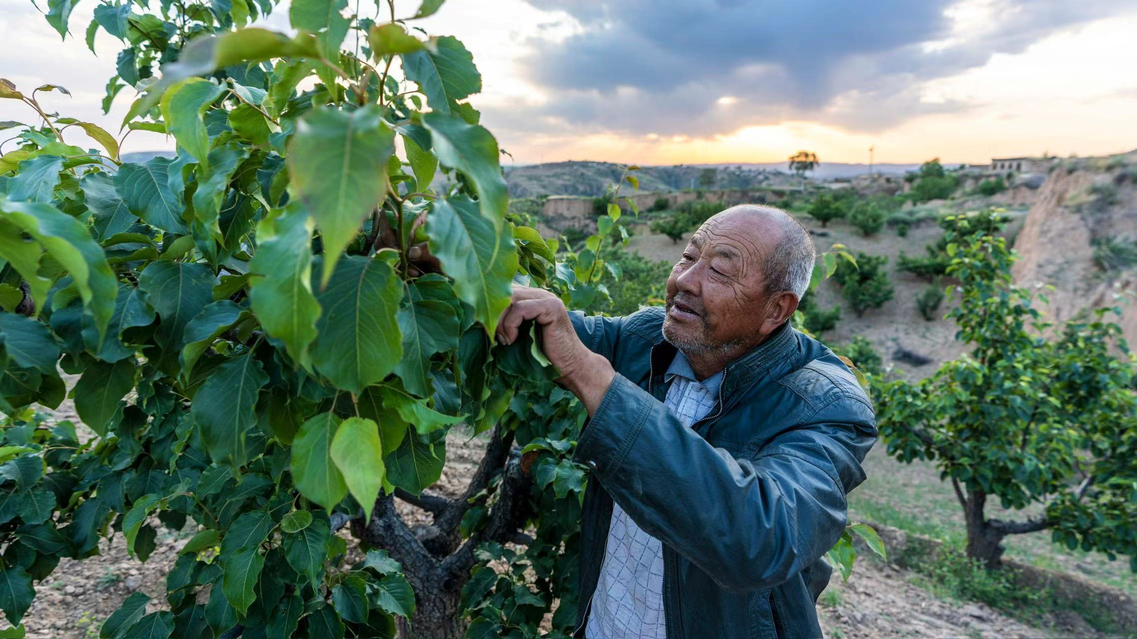 1686071613610353.jpg?x-oss-process=style/w10 7dc488cf7a7b74699ba1aa5712a1b26.jpg?x-oss-process=style/w10