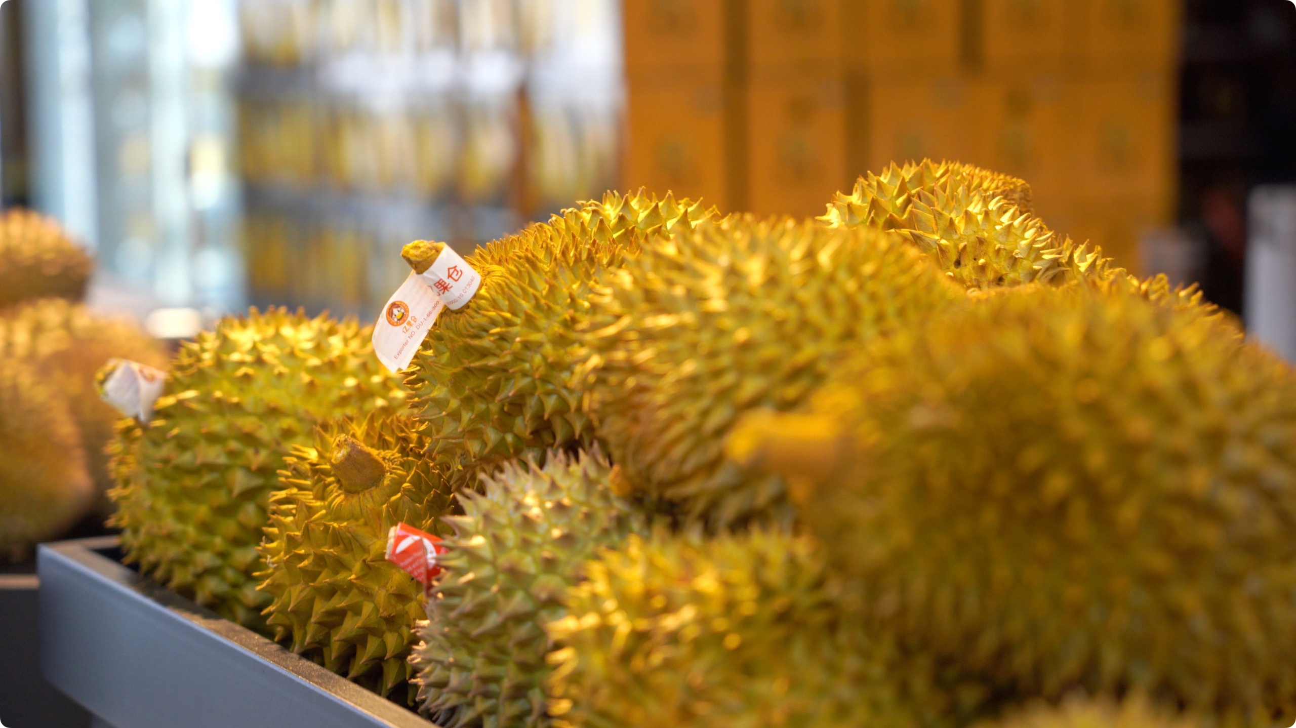 5月初，人民網(wǎng)記者申佳平攝