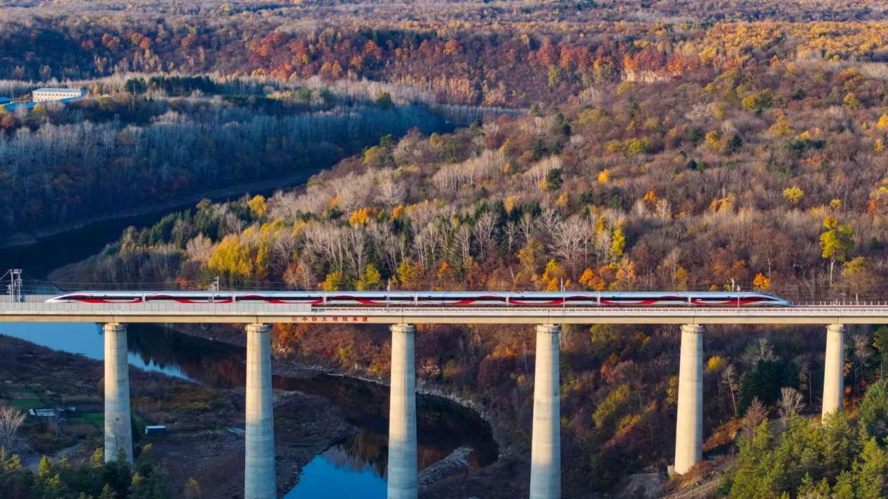 沈白高鐵正式開通運營。受訪方供圖