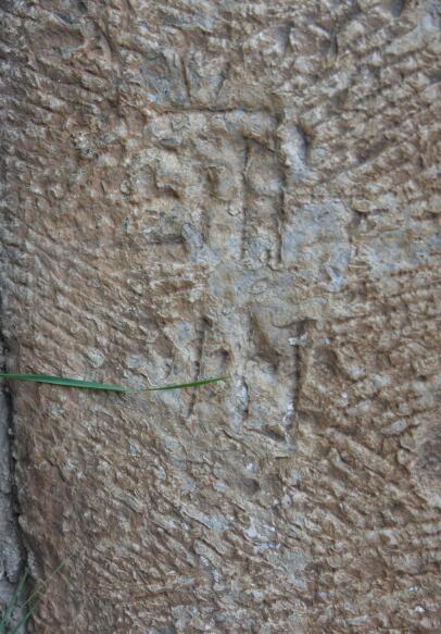 QQ截圖20201018155745.jpg QQ截圖20201018155745.jpg